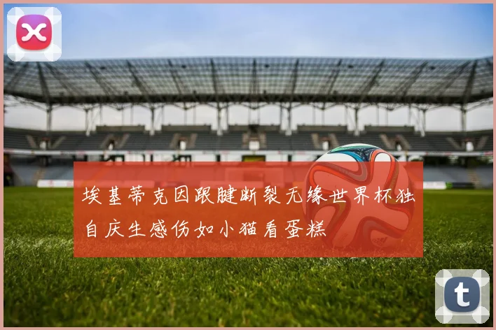 埃基蒂克因跟腱断裂无缘世界杯独自庆生感伤如小猫看蛋糕